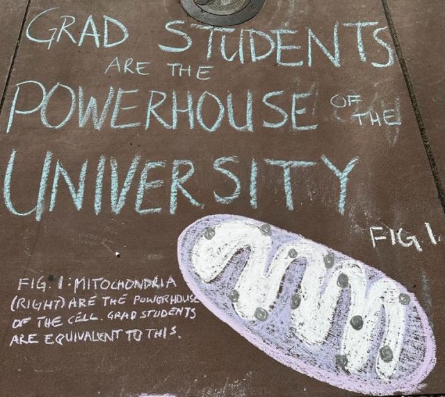 chalk art says "grad students are the powerhouse of the university"