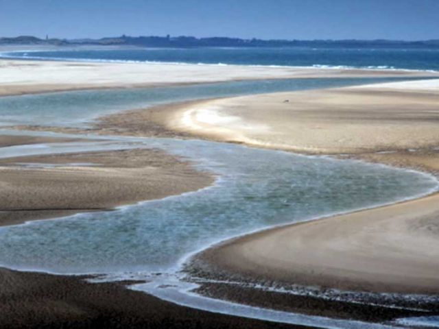 Schmidt Research Fellowships